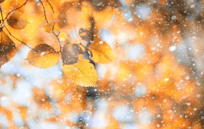 Be Winter Wise – UKIFDA and OFTEC Campaign for Heating Oil Users
