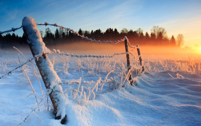 Winter-Ready: How to Ensure Your Heating Oil System is Set for the Cold