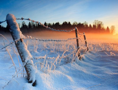 Winter-Ready: How to Ensure Your Heating Oil System is Set for the Cold